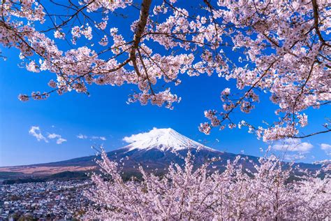 4月 旅行 おすすめ: 桜の季節に訪れるべき日本の隠れた名所