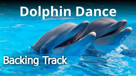 Dolphin Dance: การผสานของเมโลดีอันไพเราะและจังหวะสวิงที่กระตุ้นความรู้สึก