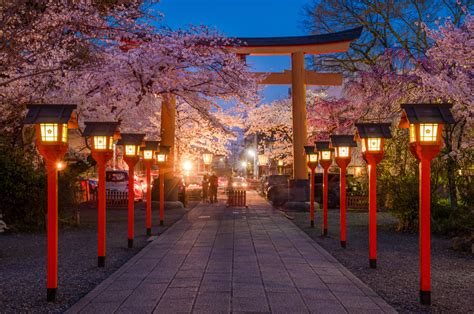 京都御所 駐車場: 桜の季節に考える都市計画と伝統の調和