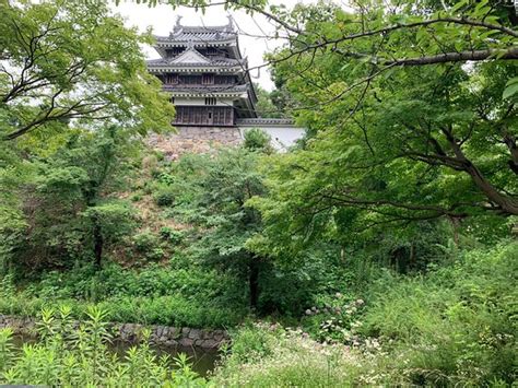 西尾市 ランチ おしゃれ - なぜかカエルが主役のレストラン