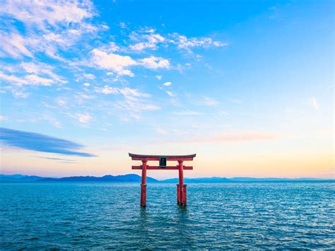 滋賀県 安くて美味しい店 - 琵琶湖の魚が空を飛ぶ夢を見た